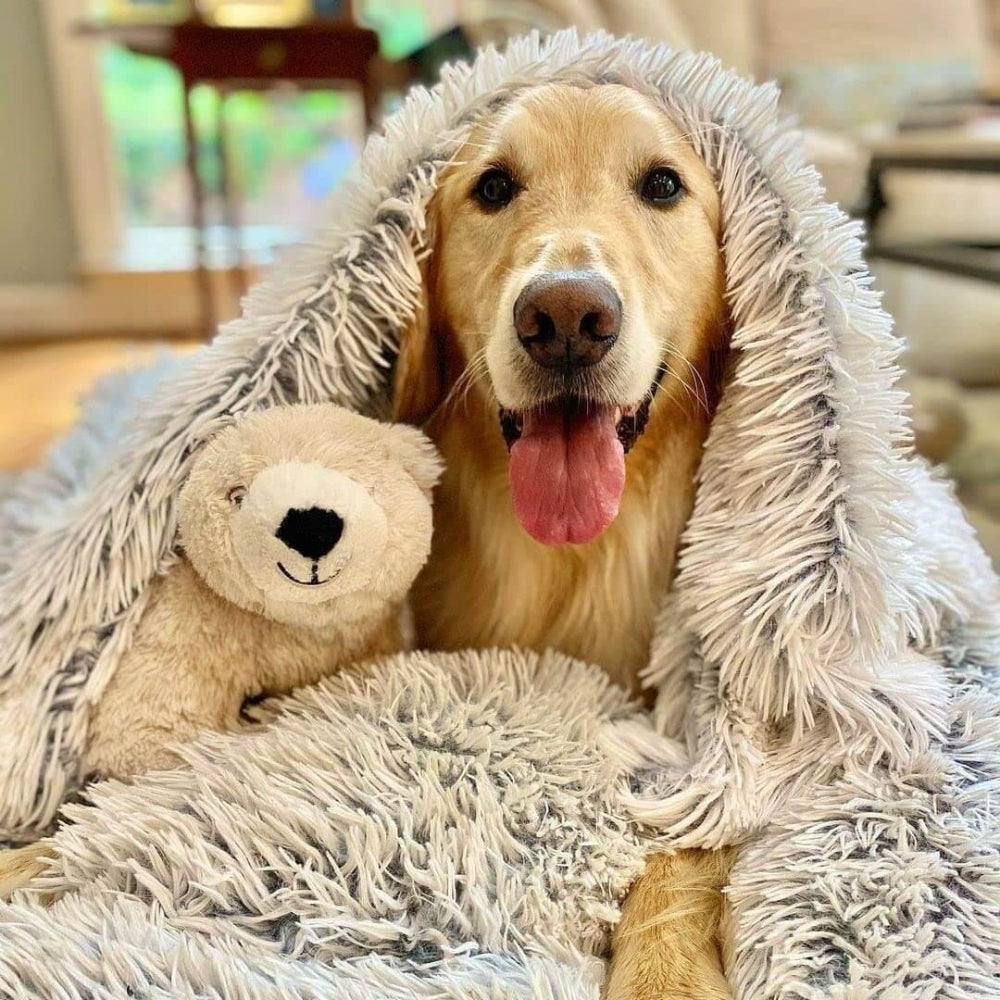 Fluffy Soft Pet Blanket
