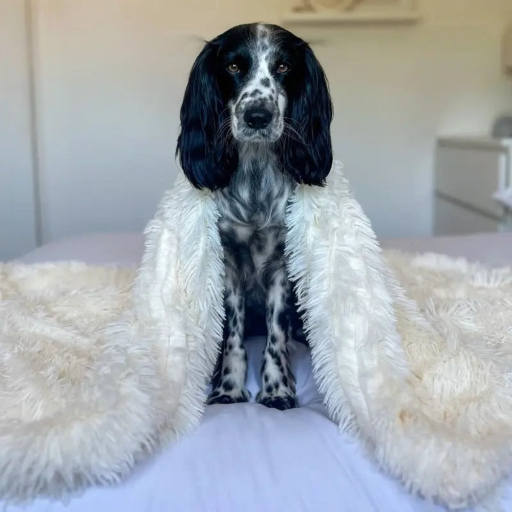 Fluffy Soft Pet Blanket
