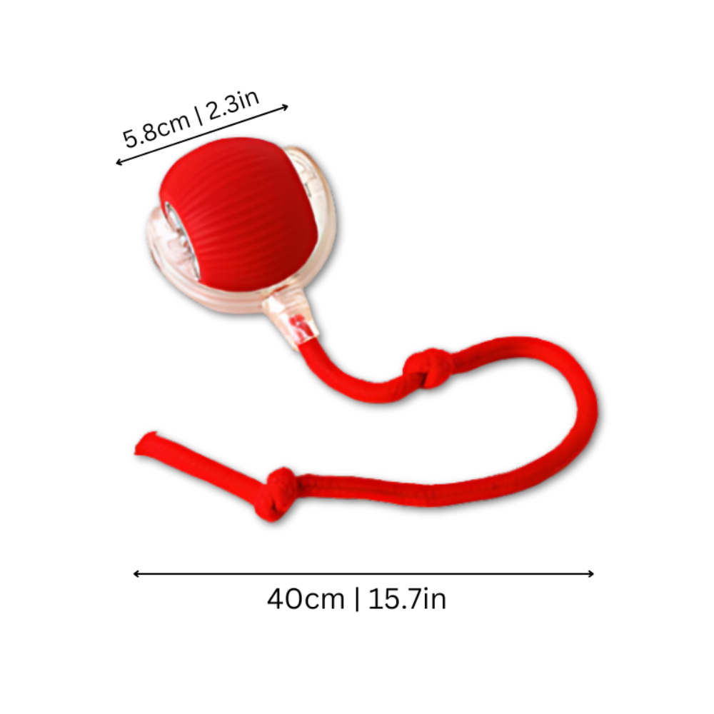 Interactive Chew Ball Dog Toy