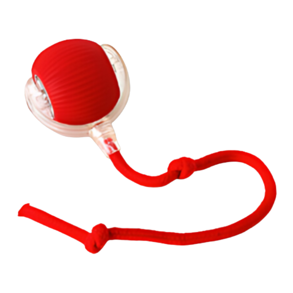 Interactive Chew Ball Dog Toy