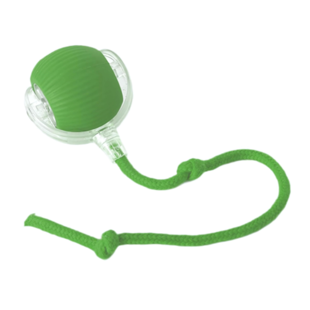 Interactive Chew Ball Dog Toy