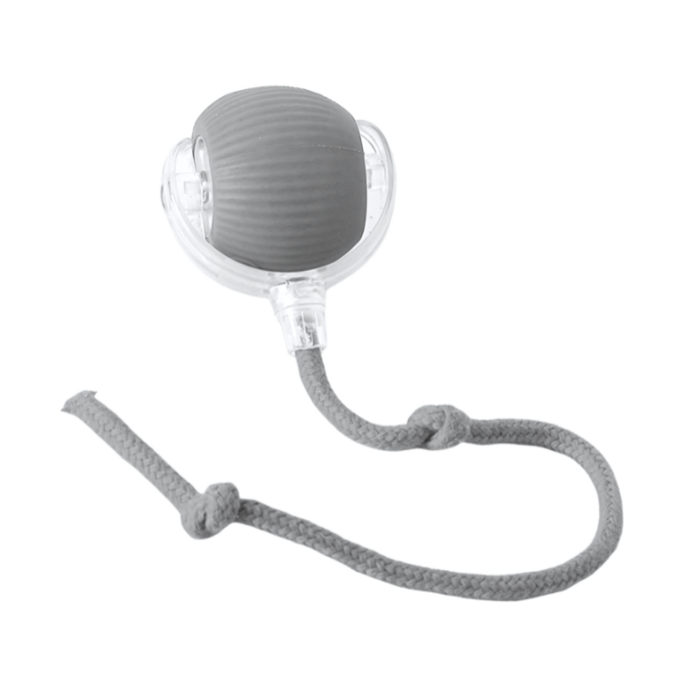 Interactive Chew Ball Dog Toy