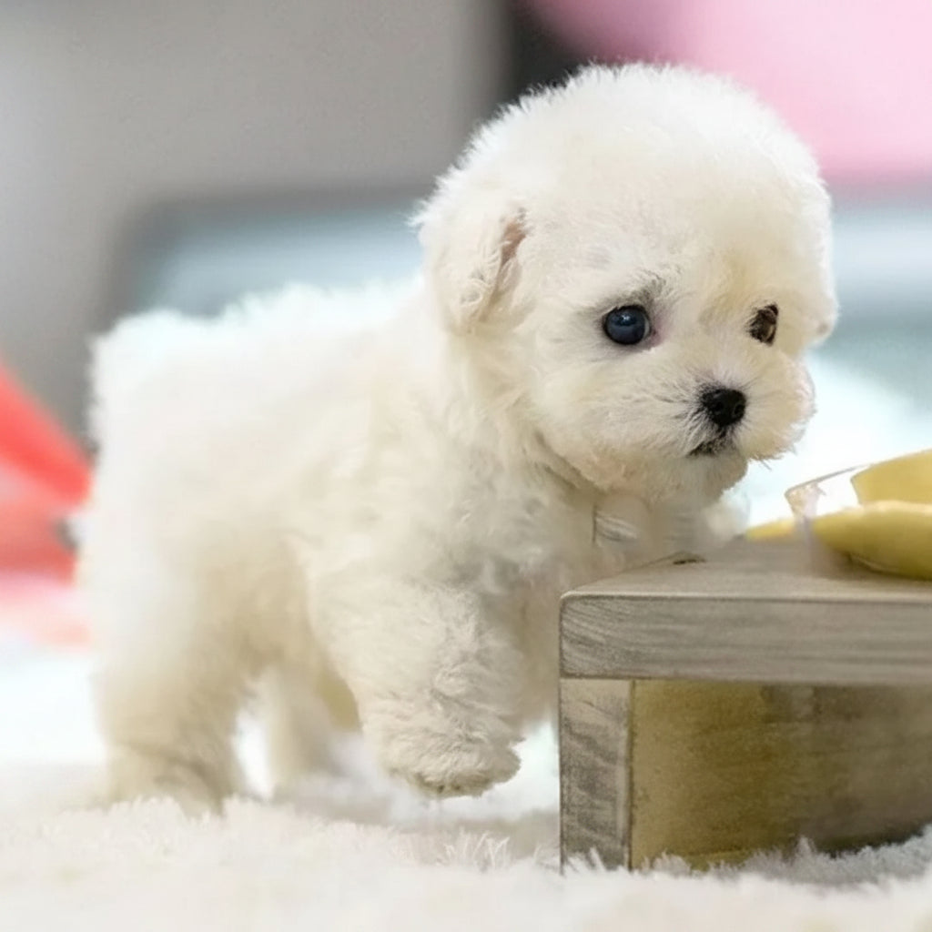 Interactive Robotic Puppy Dog Toy