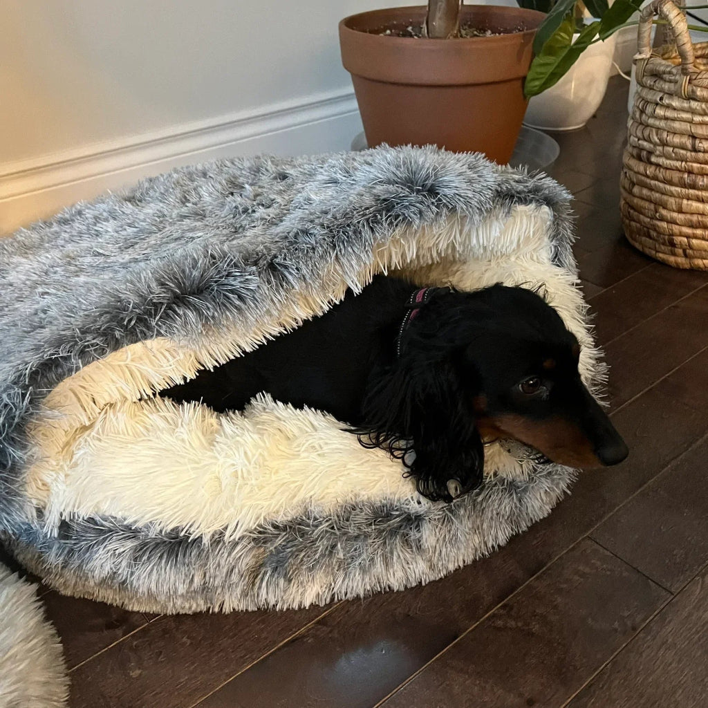 Cozy Pet Cave Bed for Cats & Dogs
